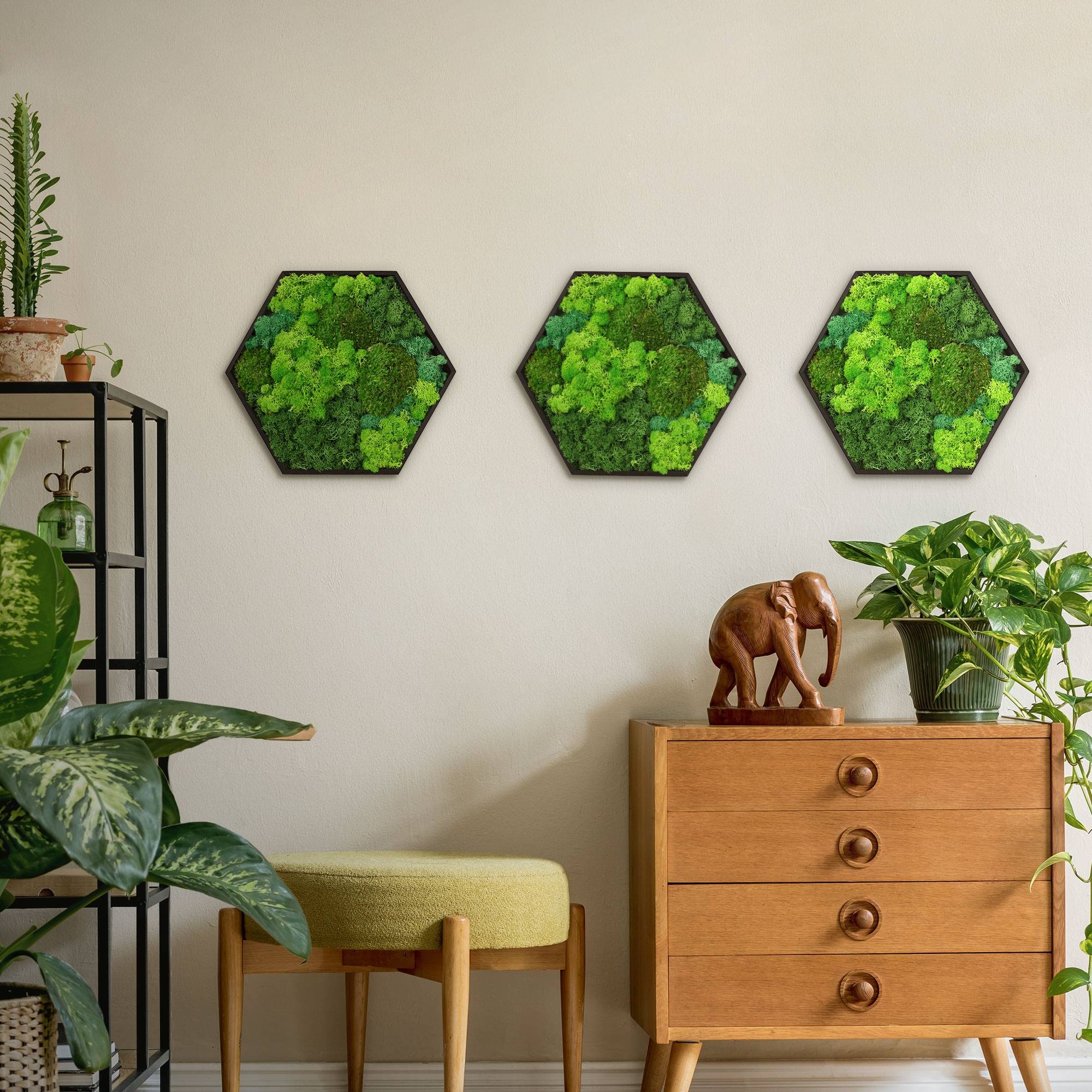 Ecd-Germany - Tableau végétal mural, mélange de mousses stabilisées, hexagonal, 38 x 34 cm, vert, décoration d'intérieur effet 3D, sans entretien, pièce unique - Image 9