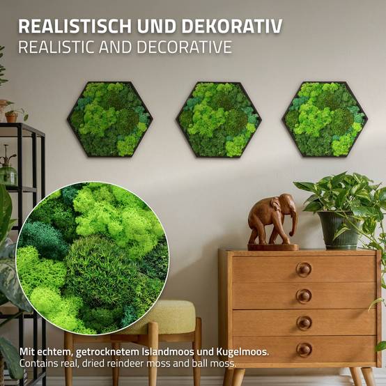 Ecd-Germany - Tableau végétal mural, mélange de mousses stabilisées, hexagonal, 38 x 34 cm, vert, décoration d'intérieur effet 3D, sans entretien, pièce unique - Image 3