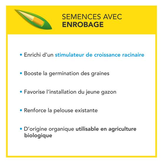 Soin Après Démoussage - Limite Réapparition Mousses - Gazon Dense et Résistant - Germe Très Rapidement - Semences avec Enrobage - 5KG - BARENBRUG - Image 5