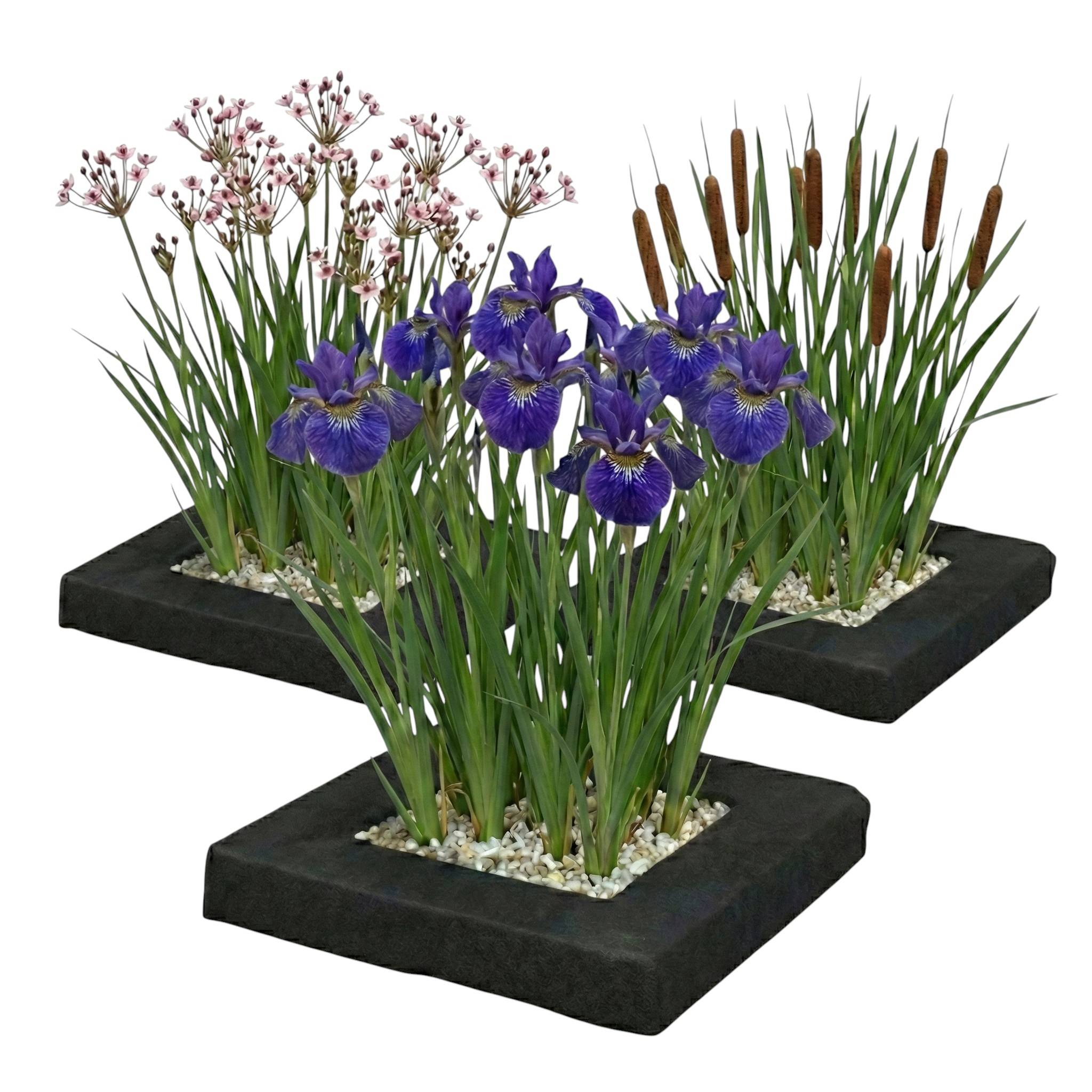 0 - Set Île Plantes Bassin 3 pièces - Set Complet avec 12 Plantes Aquatiques - Image 1