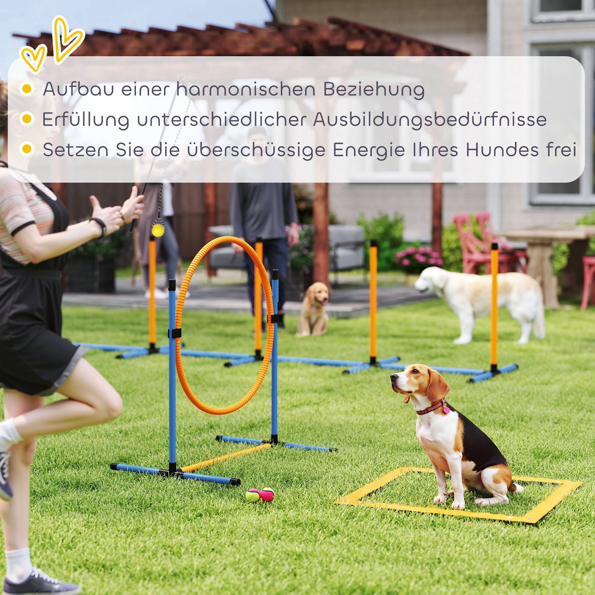 ComfortXL - Kit agilité chien 7 pièces avec haie anneau slalom réglables et sac pour jardin - ComfortXL Outdoor Living - Image 7