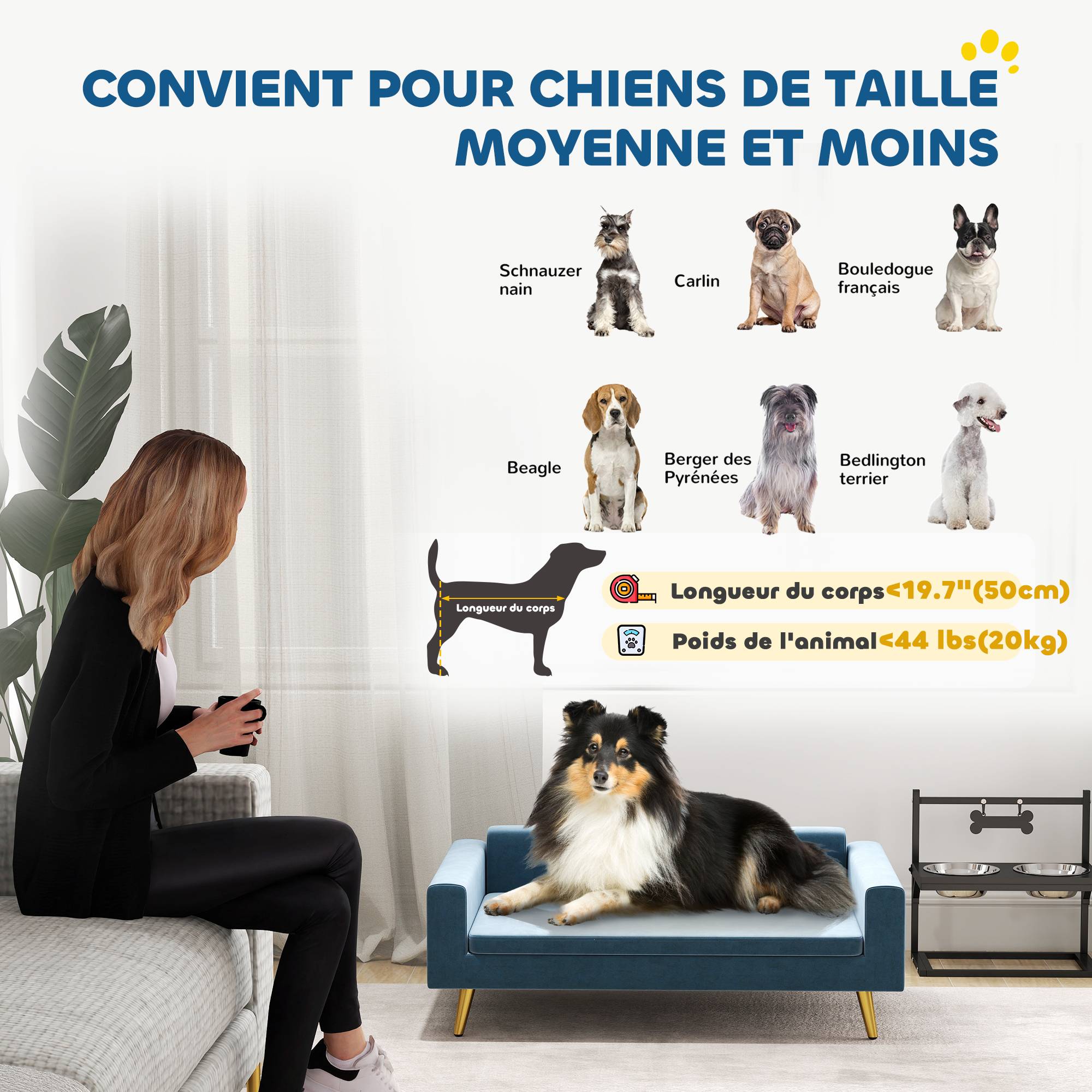Sans Marque - Canapé chien lit pour chien design scandinave coussin moelleux pieds métal doré 94 x 59,5 x 31,5 cm velours soyeux bleu - Image 6
