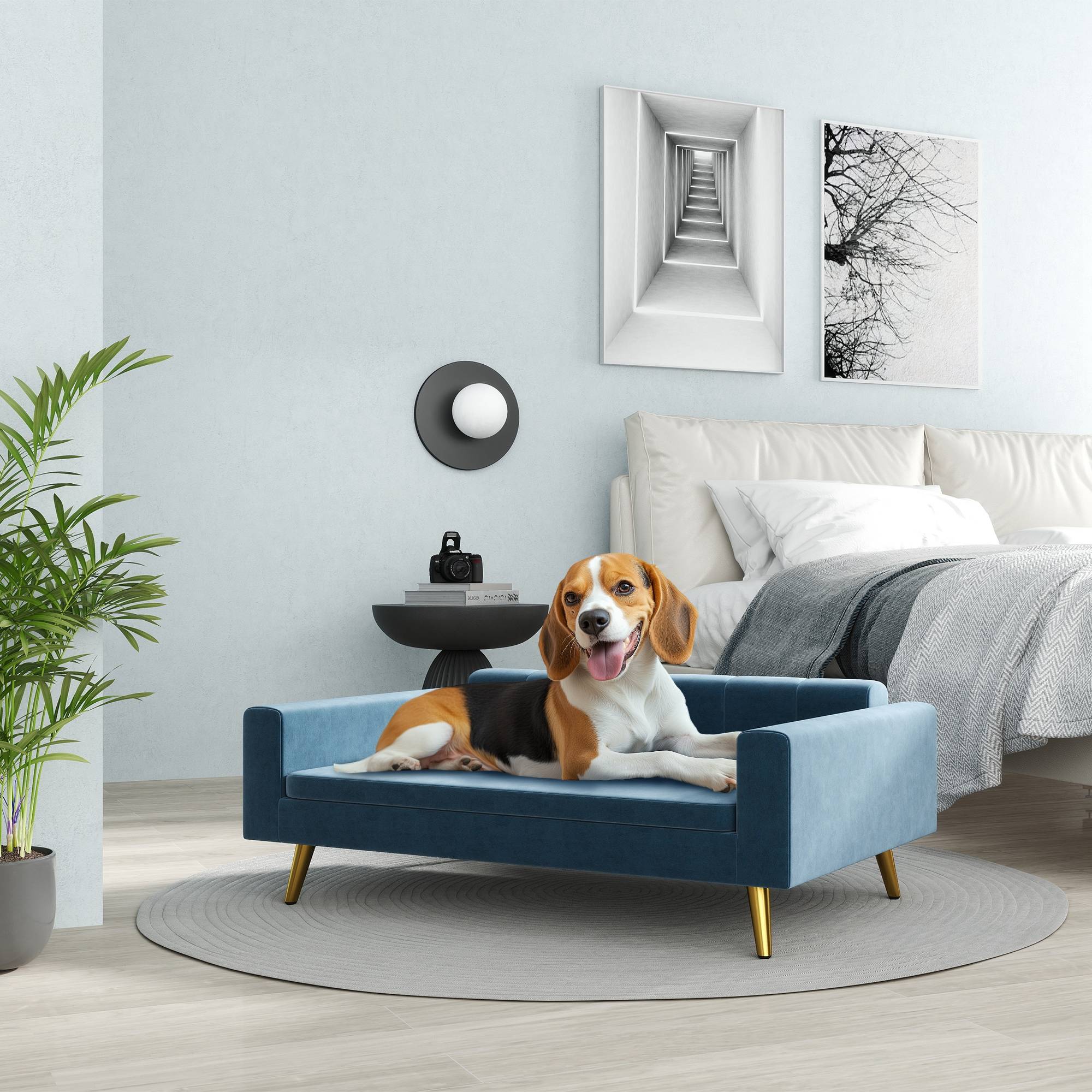 Sans Marque - Canapé chien lit pour chien design scandinave coussin moelleux pieds métal doré 94 x 59,5 x 31,5 cm velours soyeux bleu - Image 3