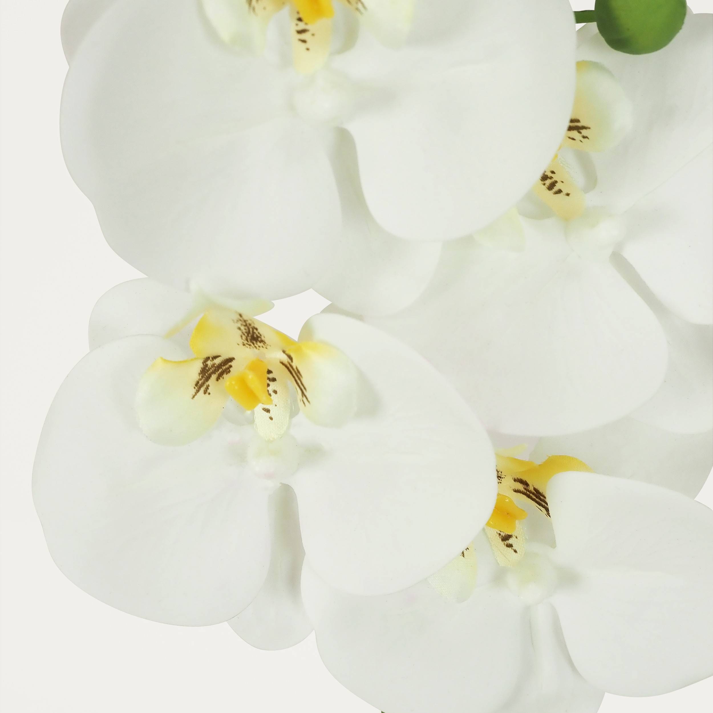 Ligne Deco - Orchidée artificielle blanche 35cm Ligne Déco - Image 4