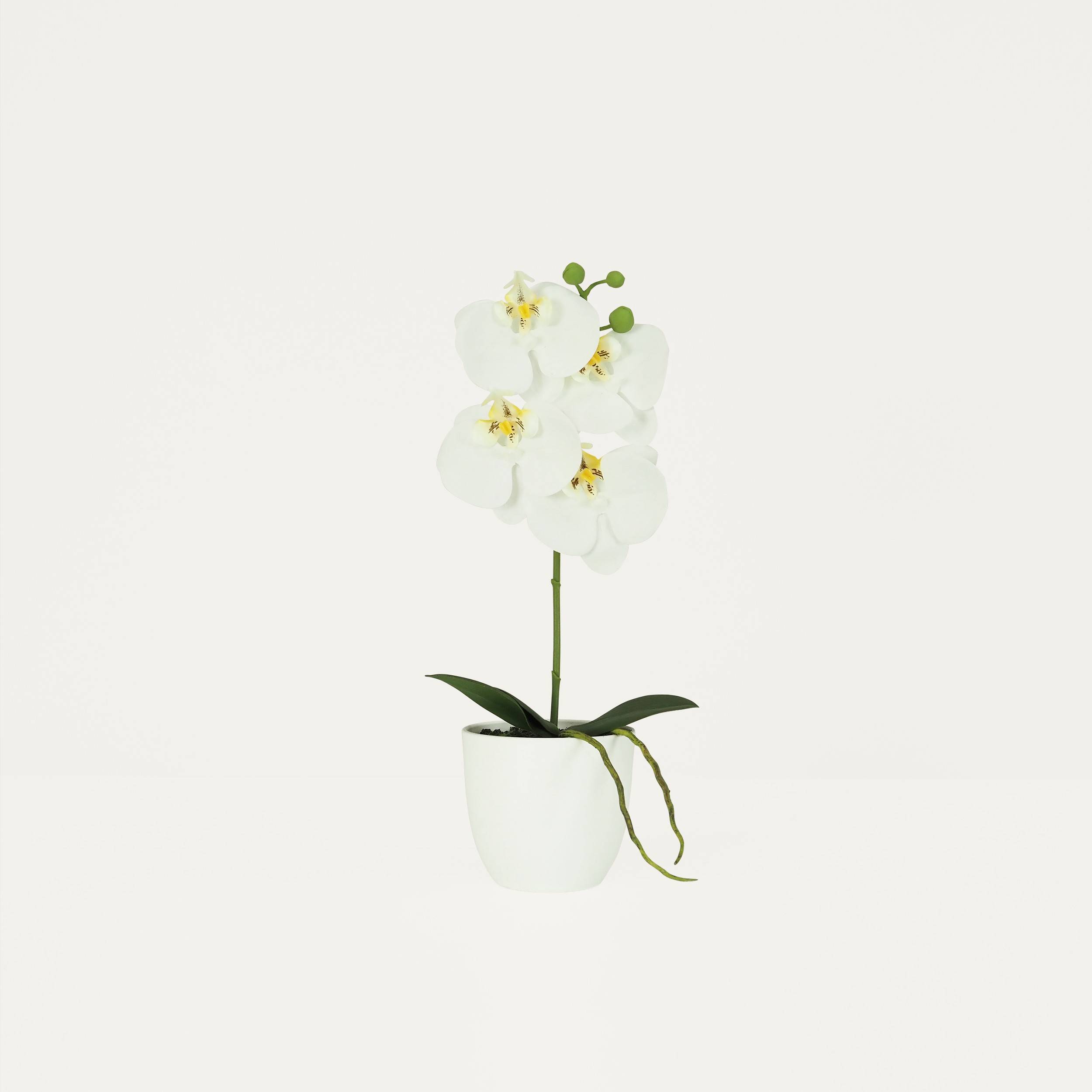 Ligne Deco - Orchidée artificielle blanche 35cm Ligne Déco - Image 1