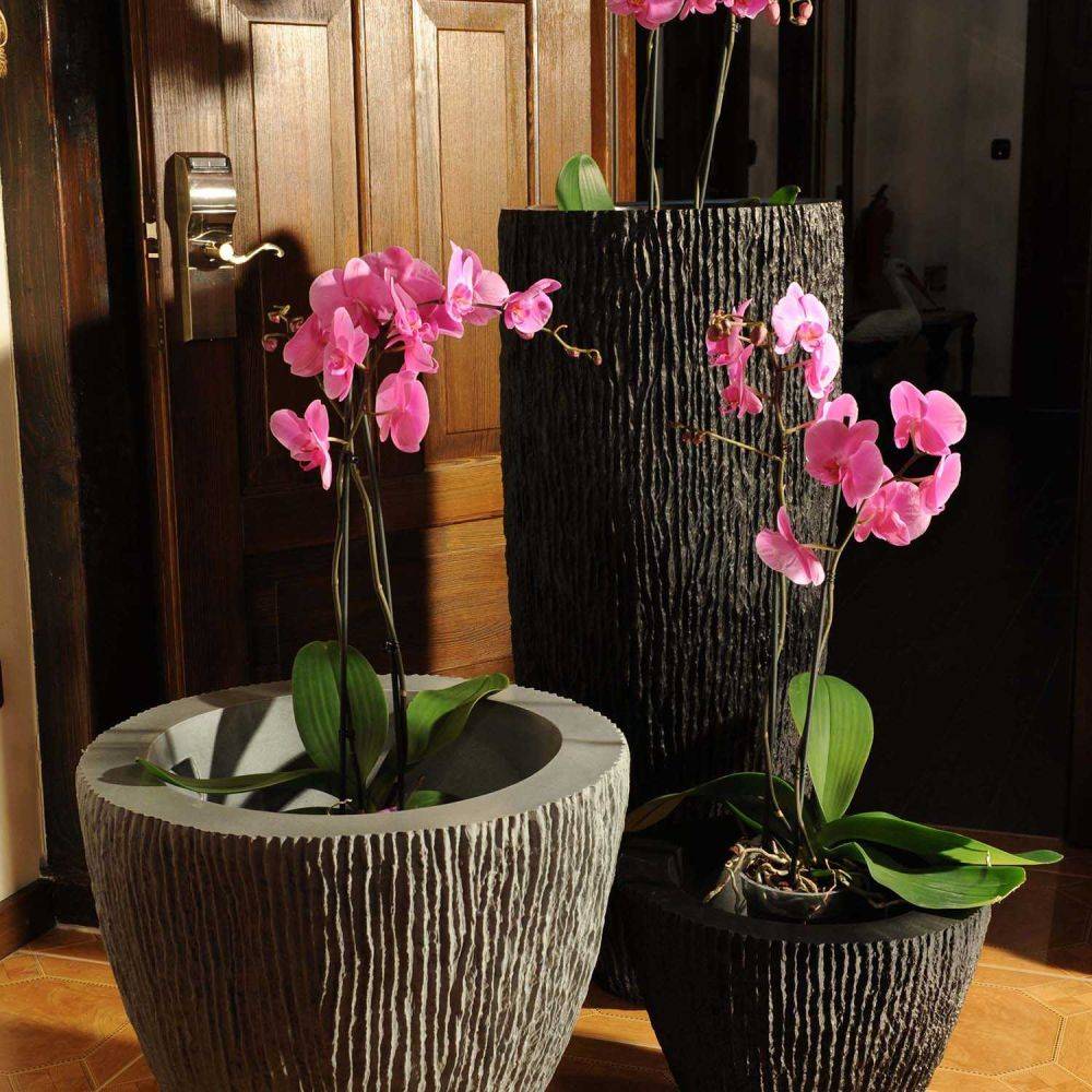 Roto - Jardinière en polyéthylène Samba - Image 2