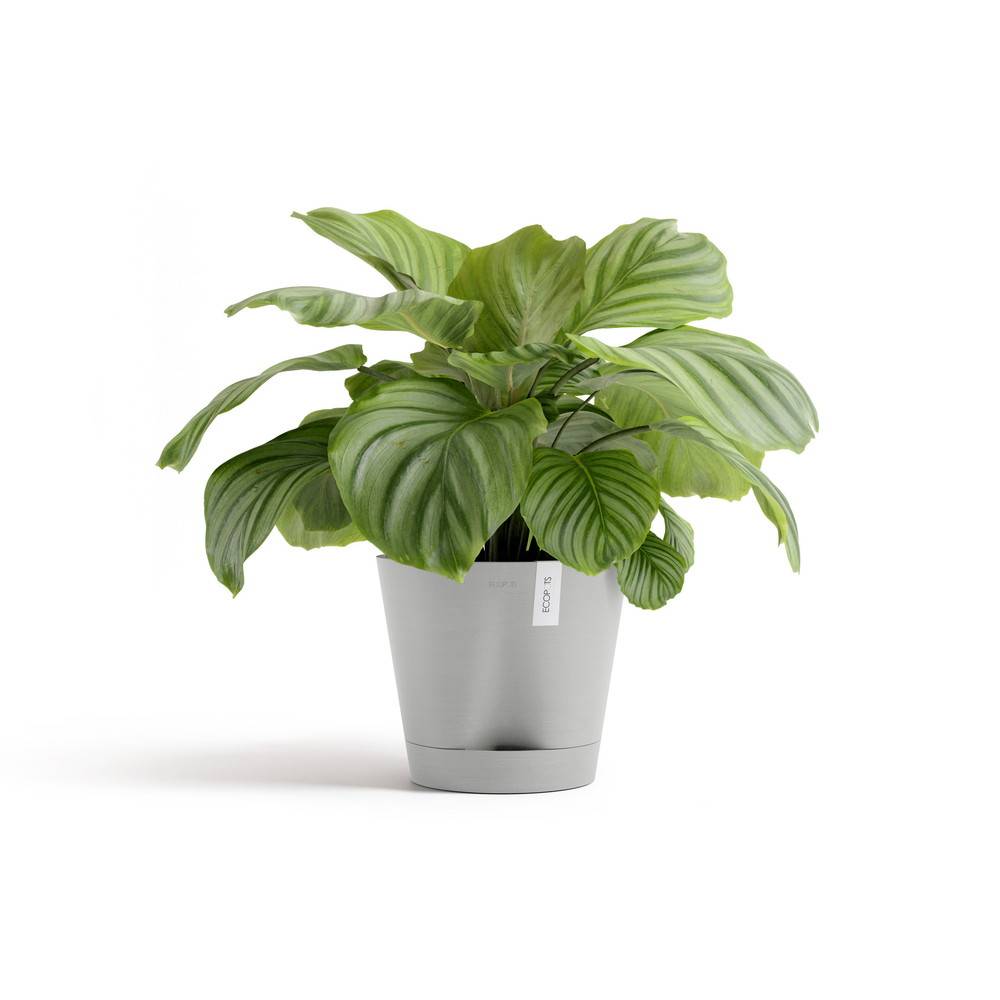 Ecopots - Pot Rond Venice 2 Blanc Gris + réservoir d'eau - Ø 30 x H. 26,3 cm - 4 L ECOPOTS - Image 2