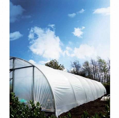 Bâche de serre thermique Plasticlair 200 microns incolore - Long 12 m, Larg 8 m - Image 1
