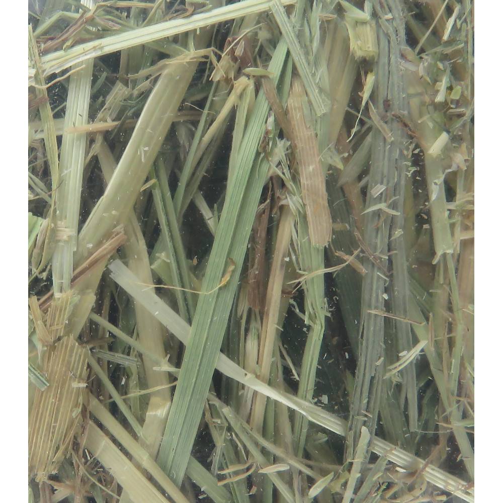 Foin alpage, menthe et camomille, 1 kg, pour rongeur - Image 2