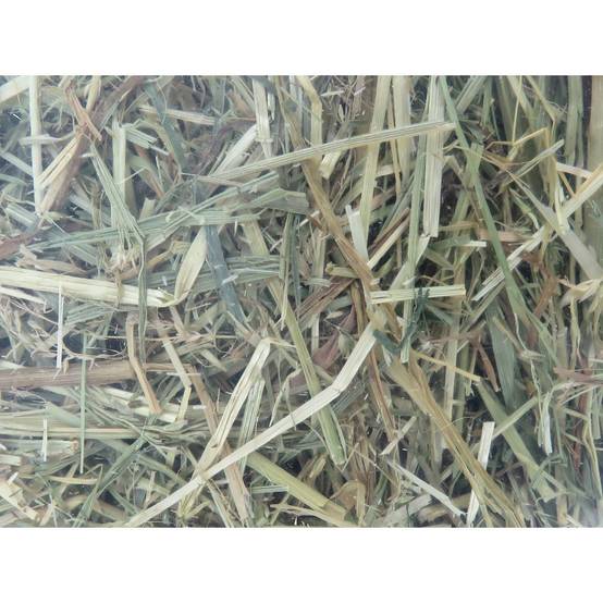 Foin alpage, menthe et camomille, 1 kg, pour rongeur - Image 1