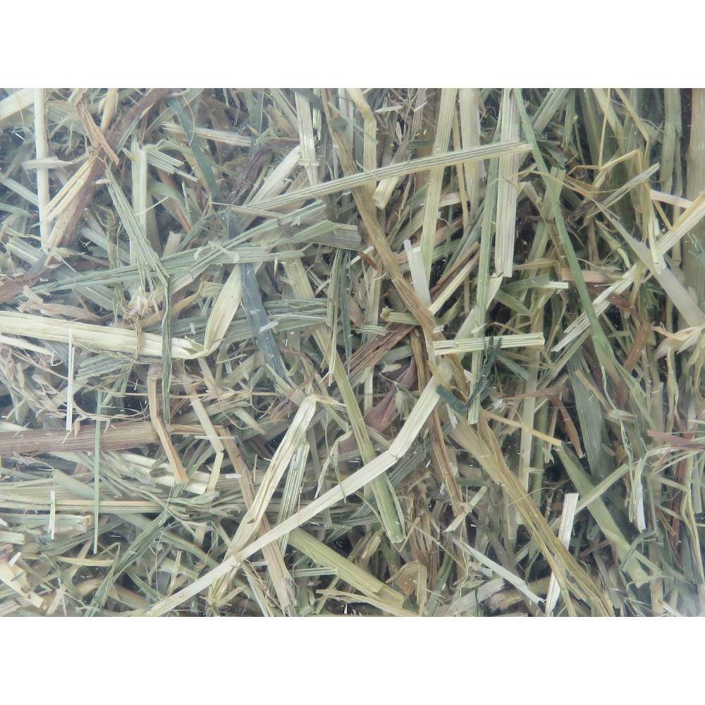 Animallparadise - Foin alpage, menthe et camomille, 1 kg, pour rongeur
