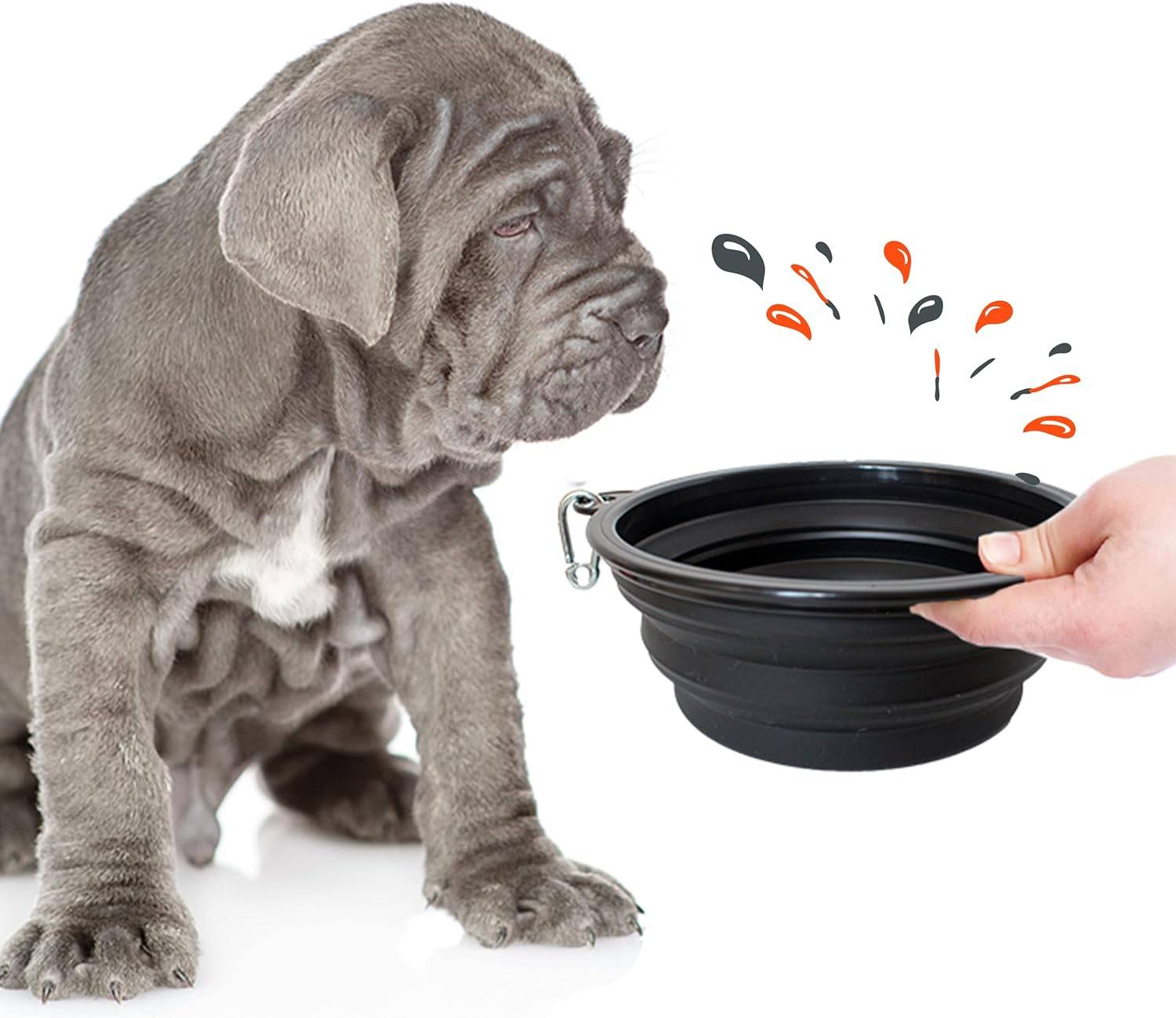 Petsation - Gamelle de voyage pliable en silicone - eau et nourriture pour chien et chat (noir, 2000ml) - Petsation - Image 2