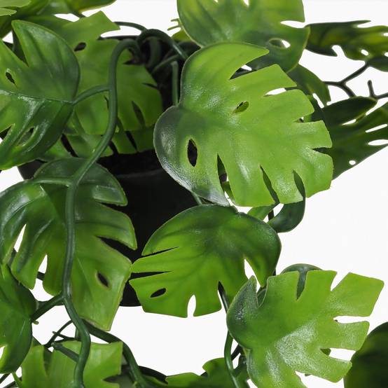 Ligne Deco - Plante succulente retombante artificielle 50cm lot de 2 - Image 4