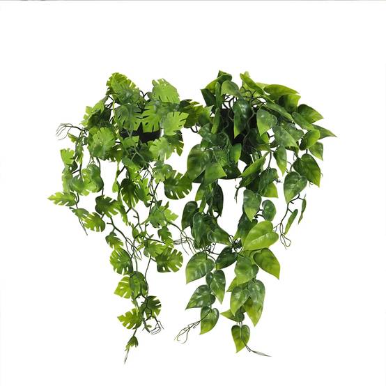 Ligne Deco - Plante succulente retombante artificielle 50cm lot de 2 - Image 1