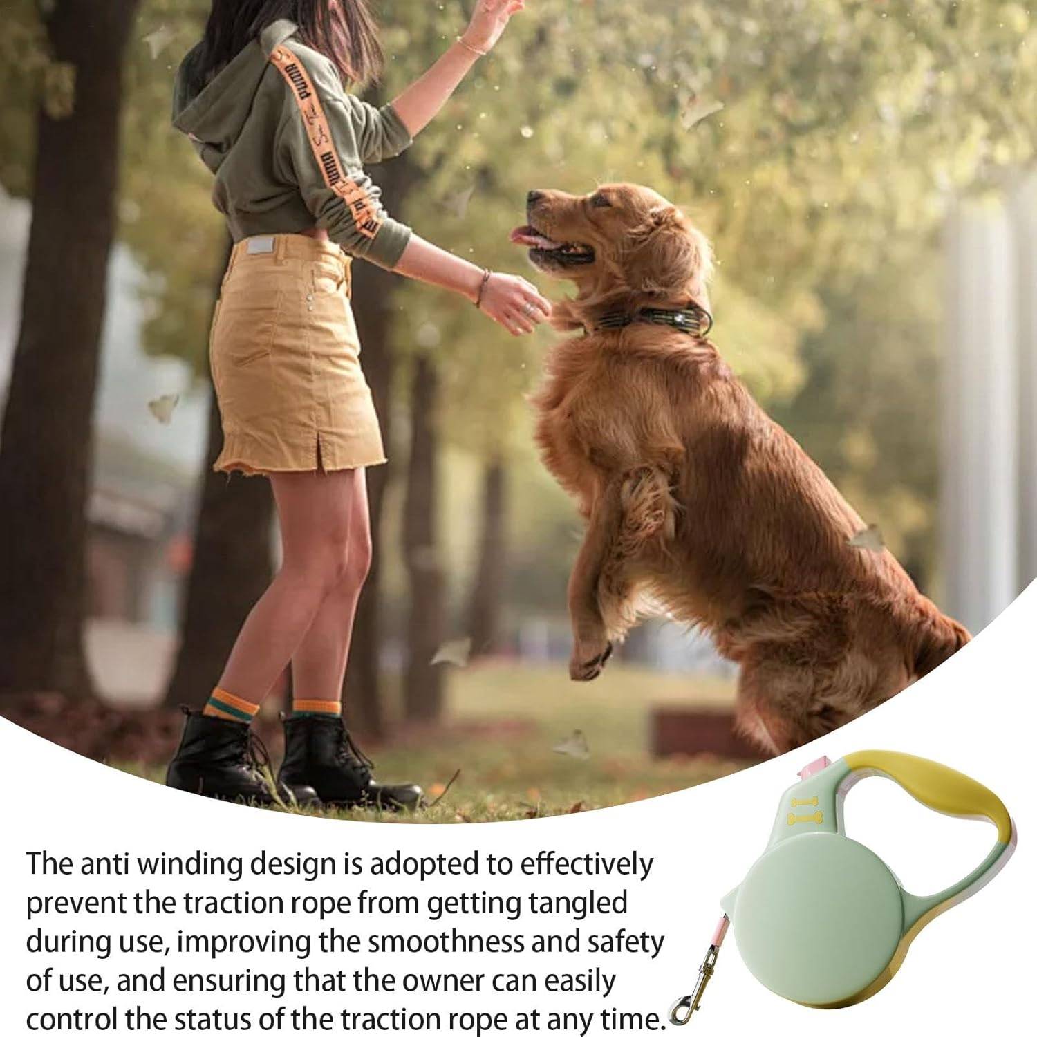 DtopbuyAge - Laisse Rétractable Robuste pour Chien DtopbuyAge - Image 3