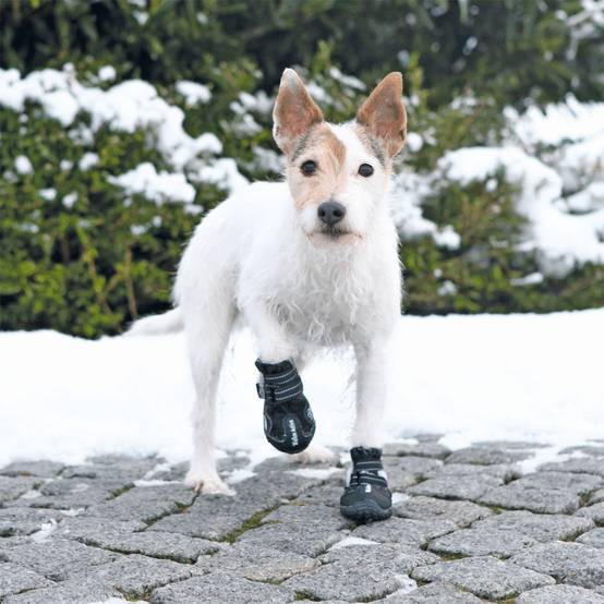 Bottes de protection Walker Active, taille: S-M pour chien - Image 2