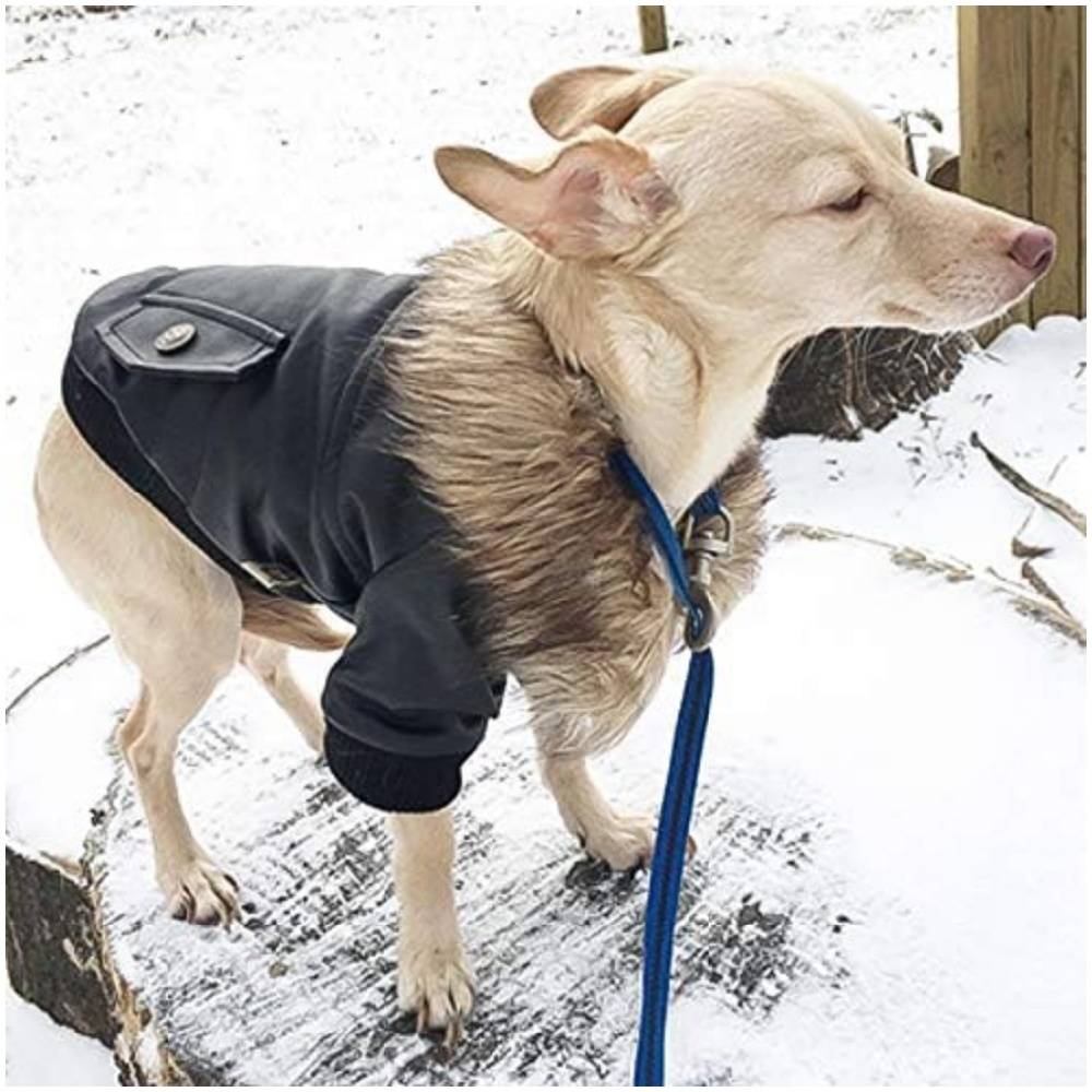Manteau en cuir pour chiens - XL - Image 4