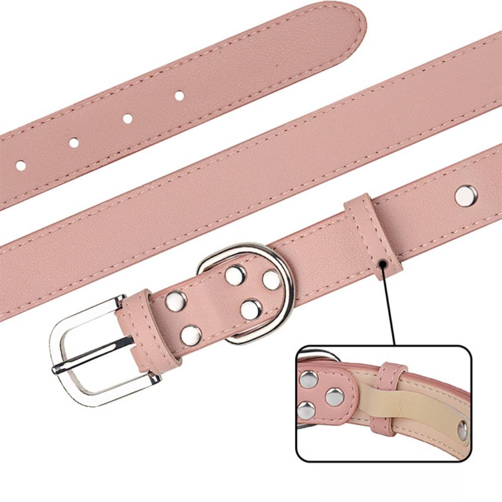 Collier pour chien s - IntiMeg - Image 2