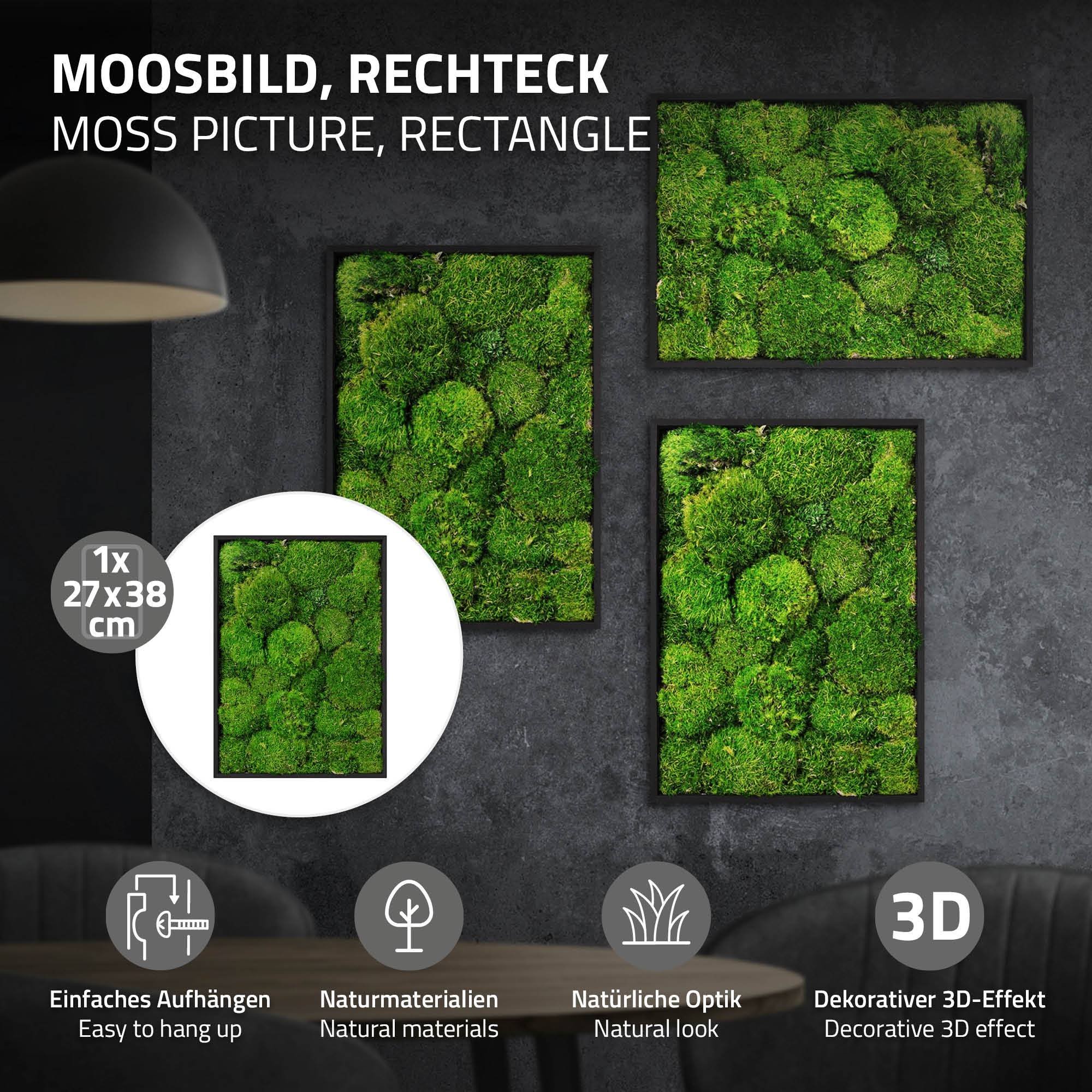 Ecd-Germany - Tableau en mousse boule stabilisée, hexagonal, 38 x 27 cm, vert, décoration murale végétale d'intérieur, cadre en bois, sans arrosage ni entretien - Image 2