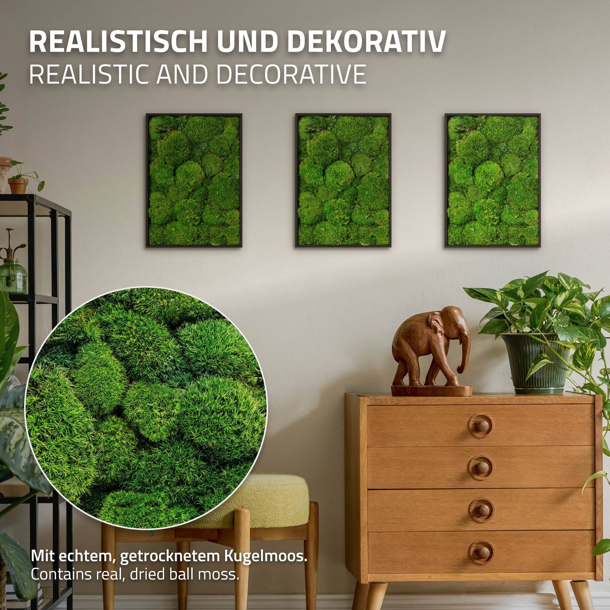 Ecd-Germany - Tableau en mousse boule stabilisée, hexagonal, 38 x 27 cm, vert, décoration murale végétale d'intérieur, cadre en bois, sans arrosage ni entretien - Image 3