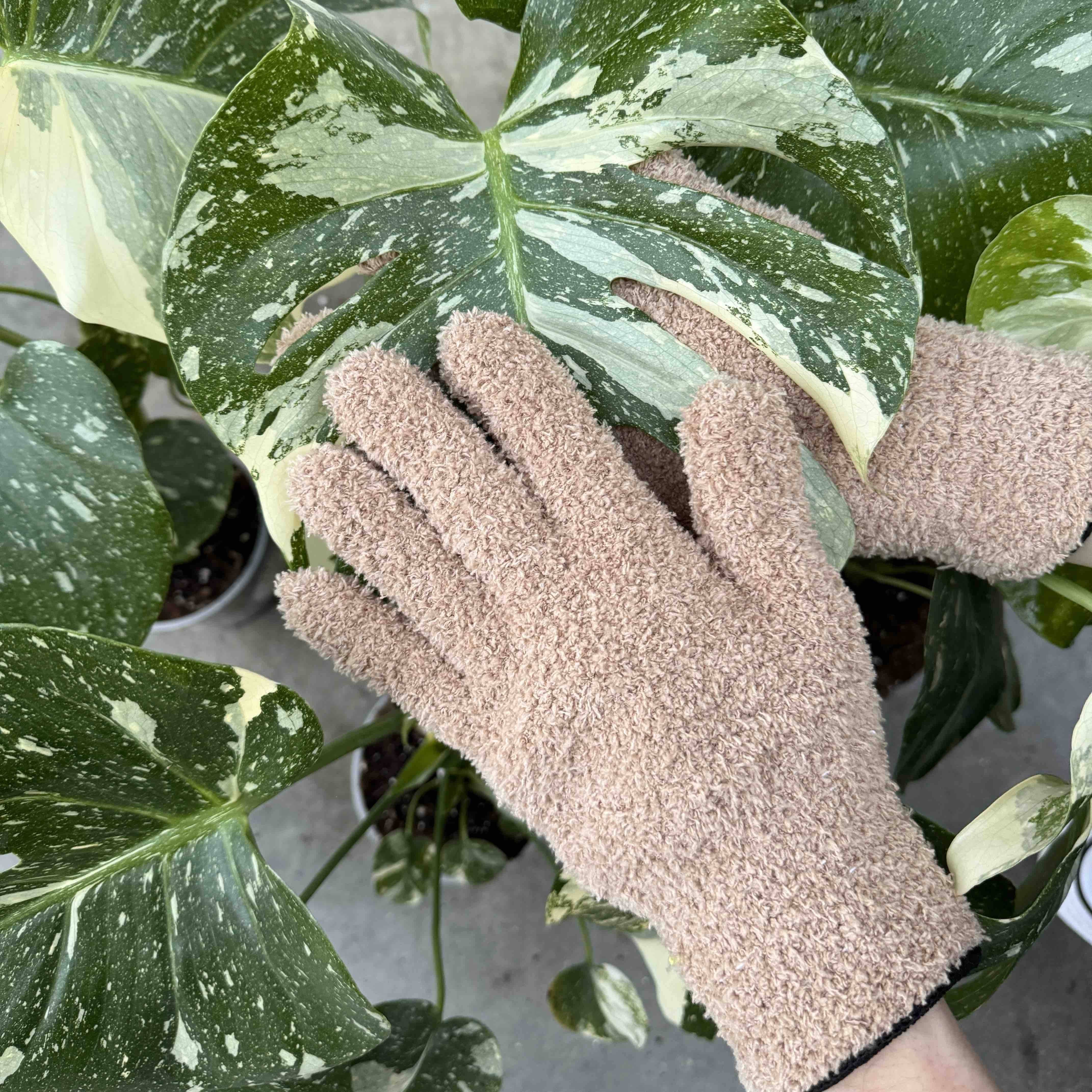 Pack Soin des Plantes Routine complète - Pulvérisateur 250ml + Savon noir concentré + Paire de Gants de Nettoyage - Mint - Image 9