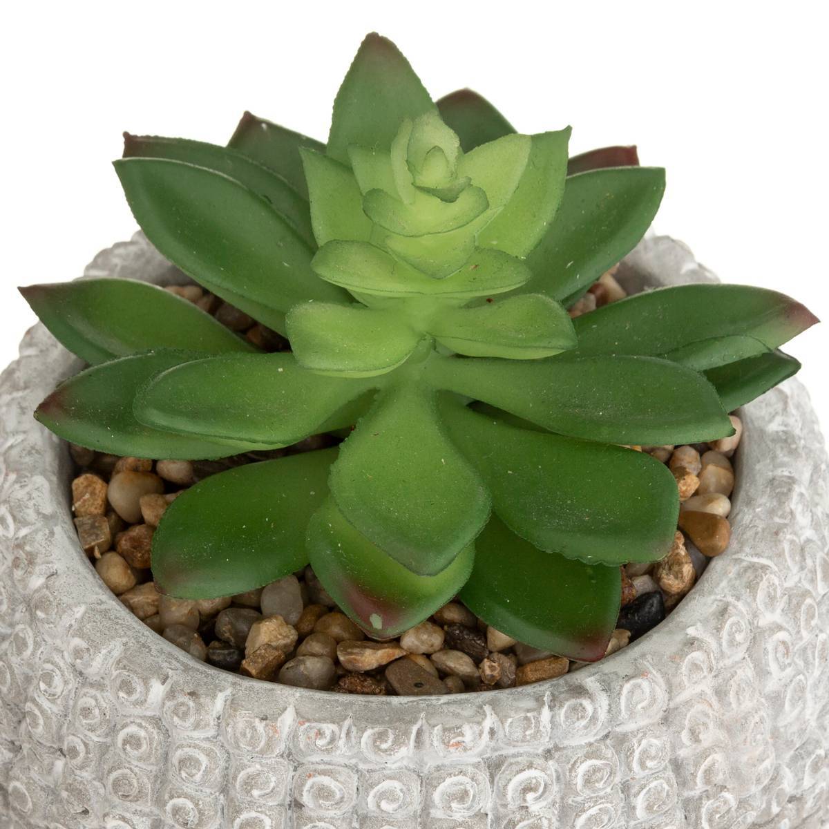 Atmosphera - Plante artificielle Bouddha pot ciment H13,5cm - Atmosphera Créateur d'intérieur - Image 4