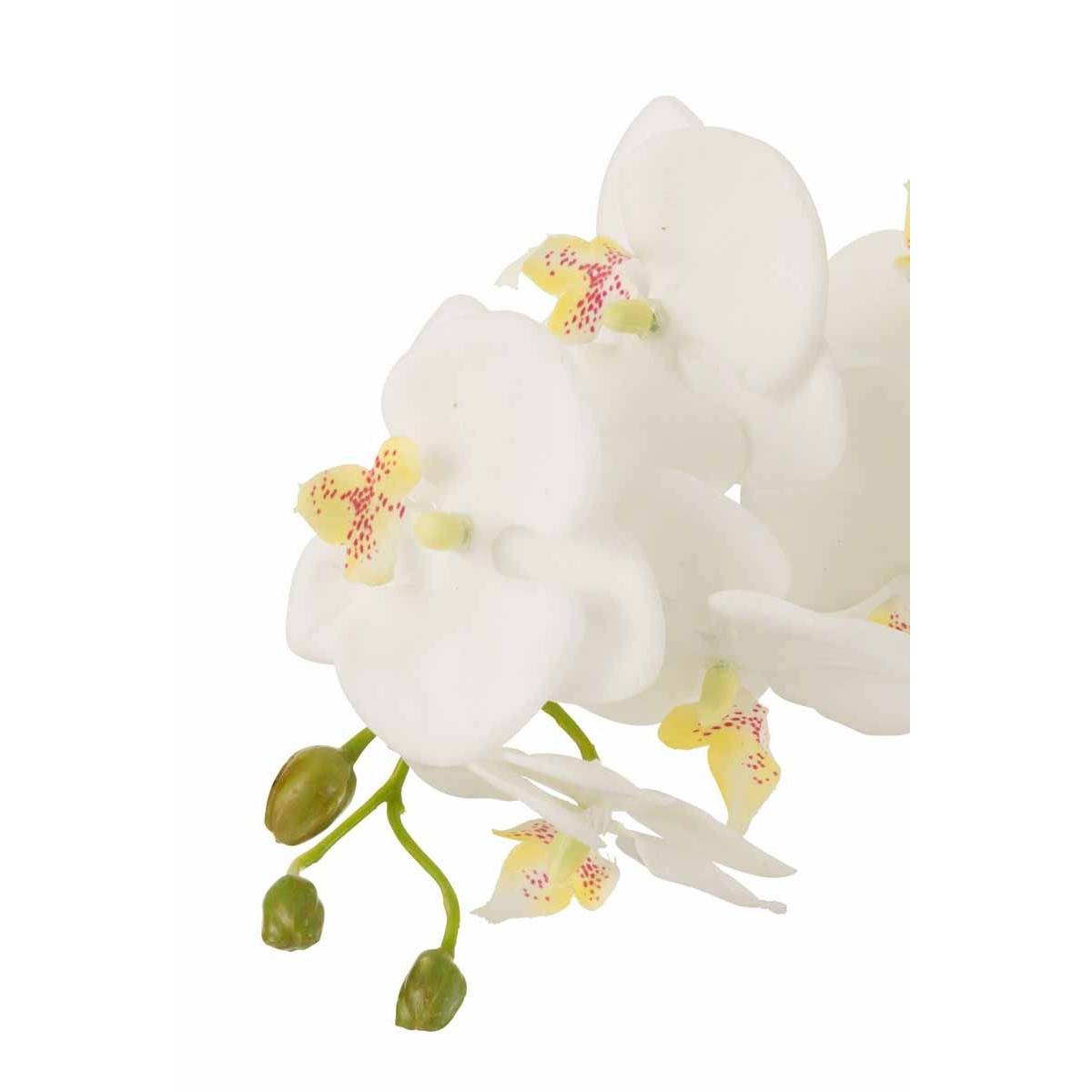 J-Line - Fleur Artificielle Déco "Orchidée en Terre" 72cm Blanc - Image 2