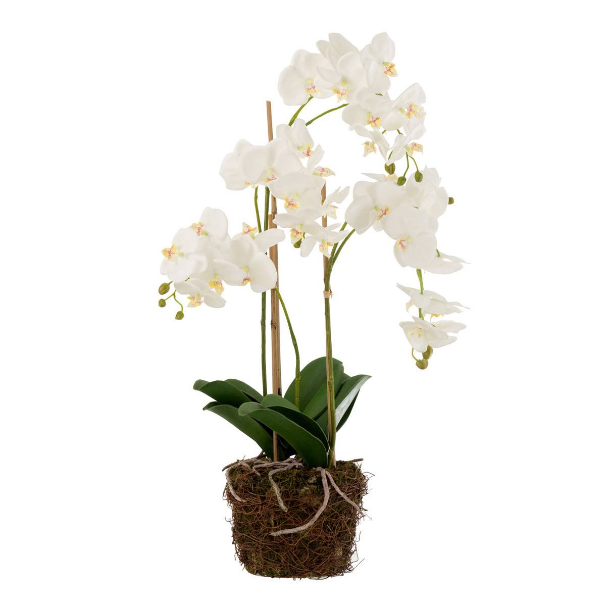 J-Line - Fleur Artificielle Déco "Orchidée en Terre" 72cm Blanc - Image 1