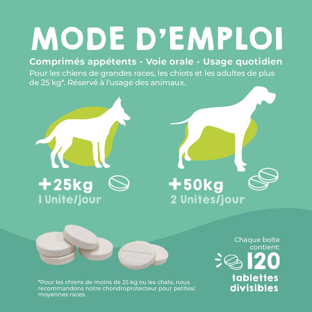 Complément Anti Arthrose pour Chien de Moyenne et Grand Taille - 120 Comprimés - MAIKAI - Image 5