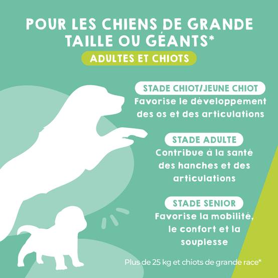 Complément Anti Arthrose pour Chien de Moyenne et Grand Taille - 120 Comprimés - MAIKAI - Image 2
