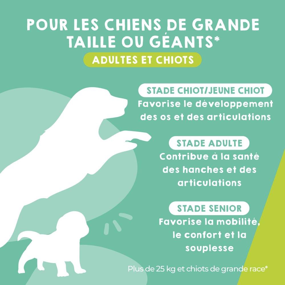Complément Anti Arthrose pour Chien de Moyenne et Grand Taille - 120 Comprimés - MAIKAI - Image 2