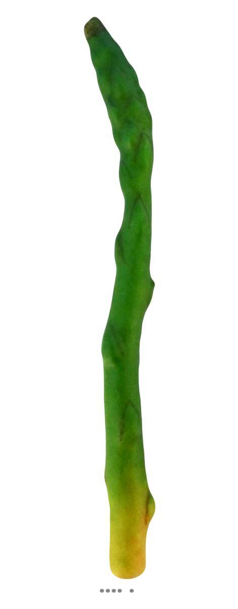 Asperge verte artificielle superbe de réalisme L 24cm, D 2cm, 10g - Image 1