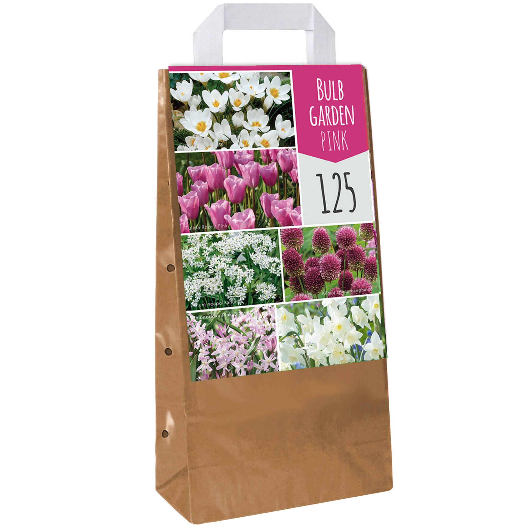 Gardenersdream - Jardin de bulbes Tulipe rose Allium Crocus Chionodoxa Allium Narcisse Bulbes à fleurs (125 bulbes) - Image 1