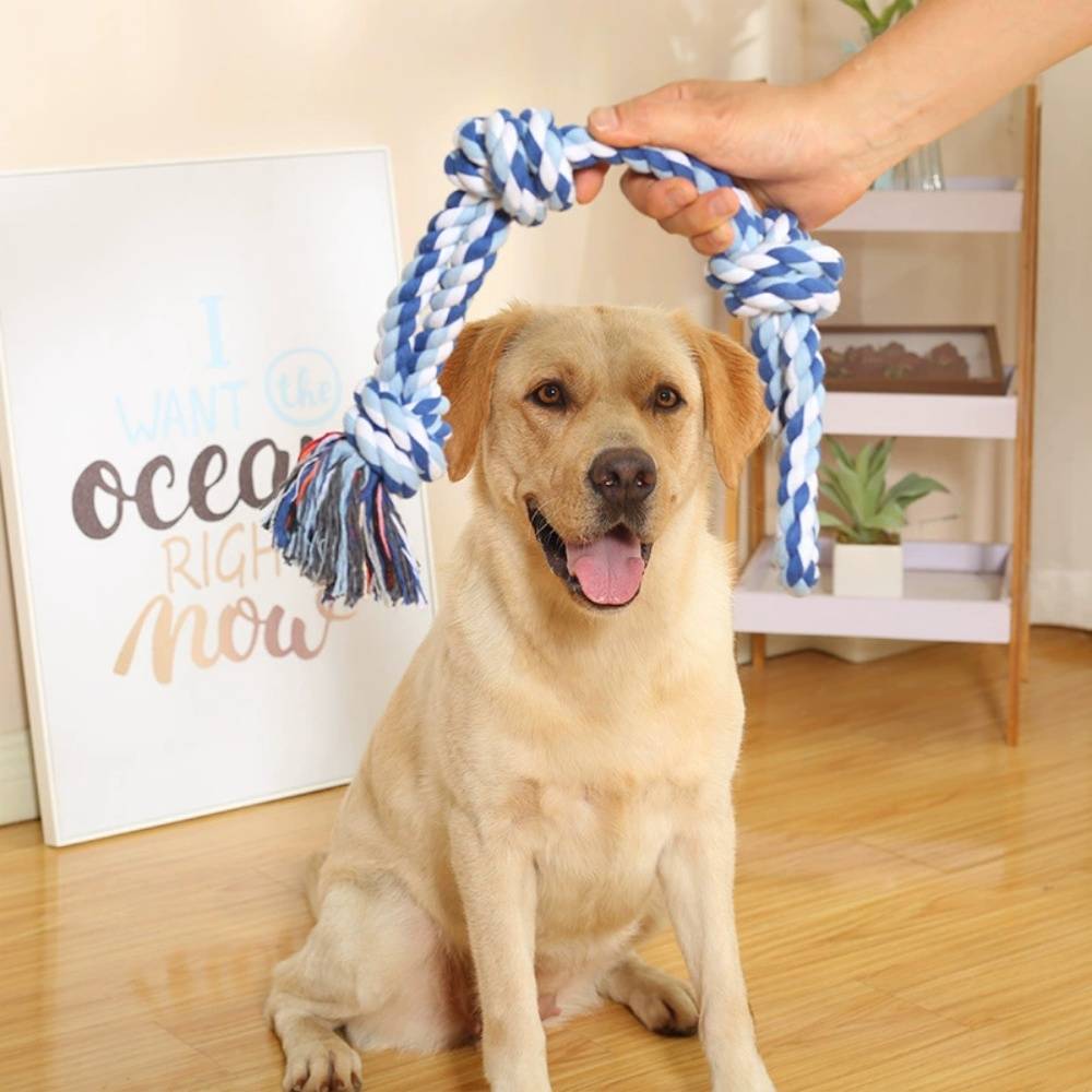 IntiMeg - pack IntiMeg Jouet-corde pour chien 2 - Image 4
