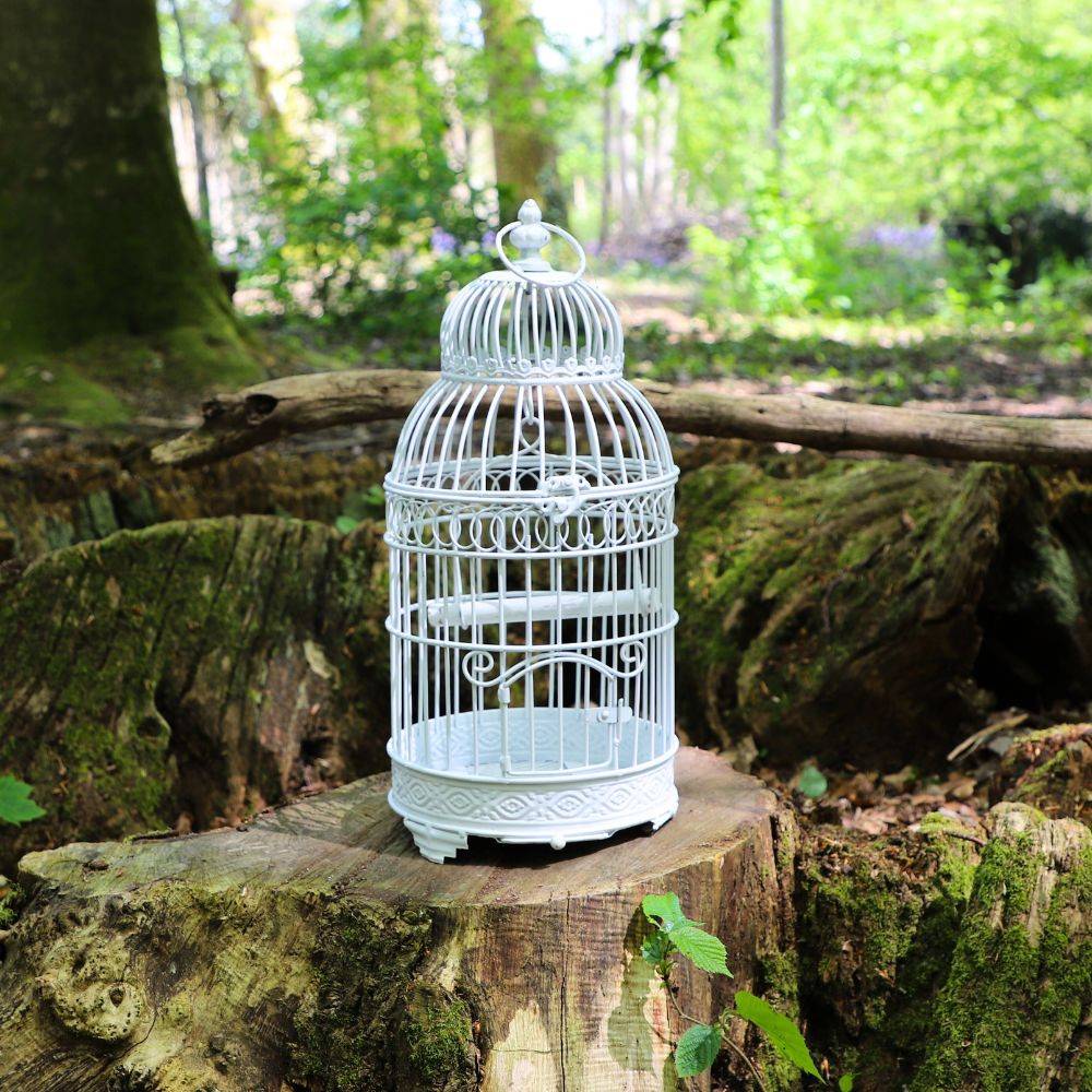 Cage à oiseaux bougeoir en métal blanc ø21 x 48 cm Chemin de campagne - Image 3