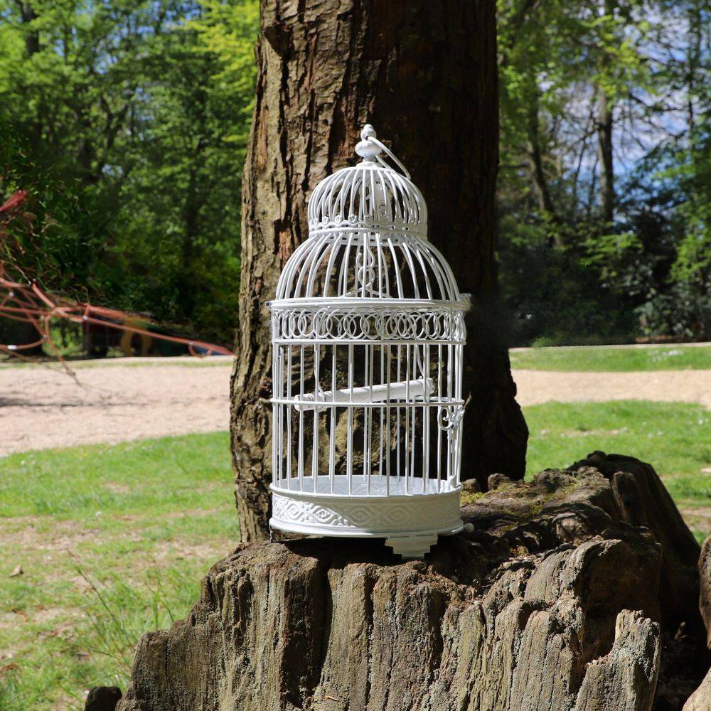 Cage à oiseaux bougeoir en métal blanc ø21 x 48 cm Chemin de campagne - Image 2