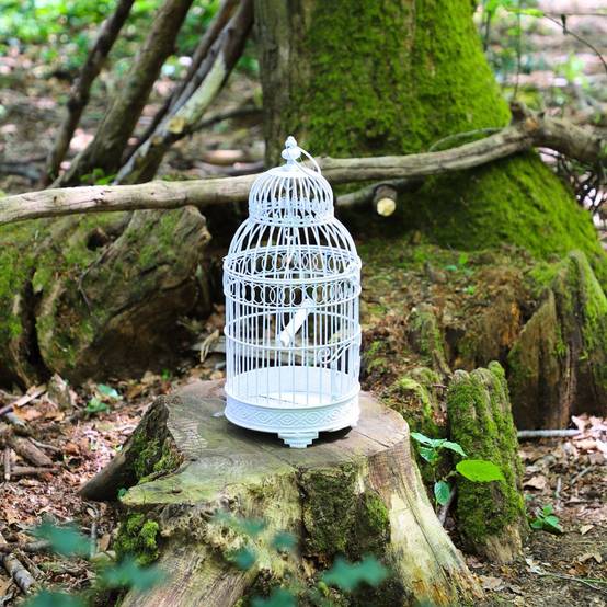 Cage à oiseaux bougeoir en métal blanc ø21 x 48 cm Chemin de campagne - Image 4