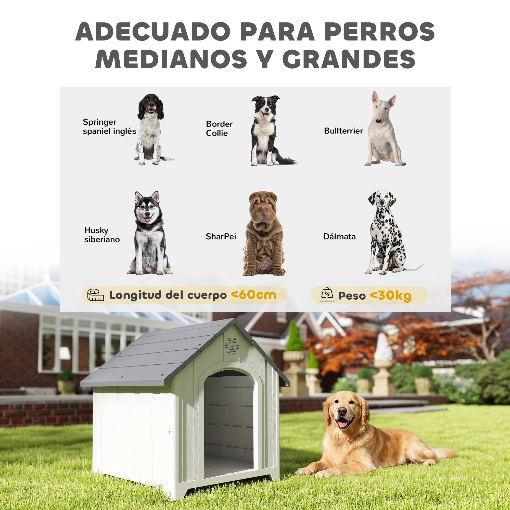 Niche extérieure en plastique, grand chien, 2 fenêtres, base surélevée, piquets, gris - Image 7