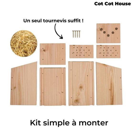 Kit pédagogique - insectes - Cot Cot House - Image 3