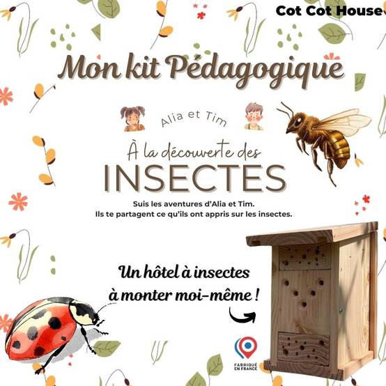 Kit pédagogique - insectes - Cot Cot House - Image 1