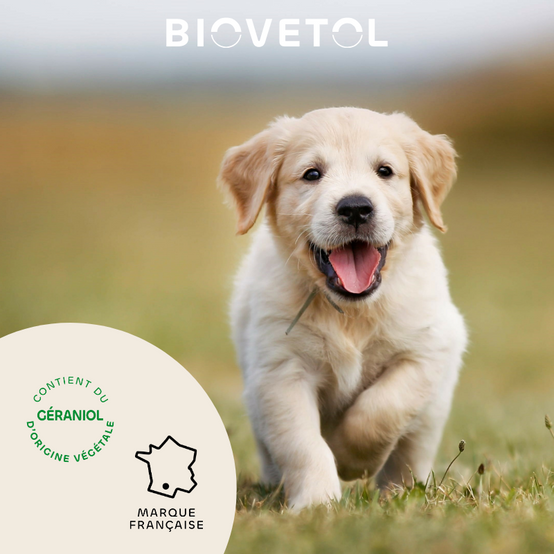 Biovetol - Collier Antiparasitaire pour Chiot et Chien de Petite Taille - Image 4