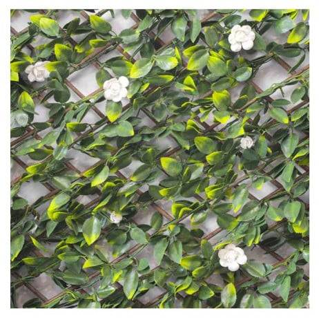 James Grass - France Green - Treillis extensible feuilles de jasmin fleuri, Long 14 m, Hauteur 1 m - Image 6