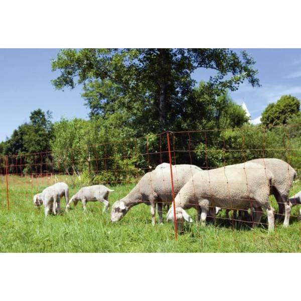 KERBL - Filet pour moutons OviNet électrifiable - Longueur 50 m - Hauteur 90 cm - 14 piquets - Image 1