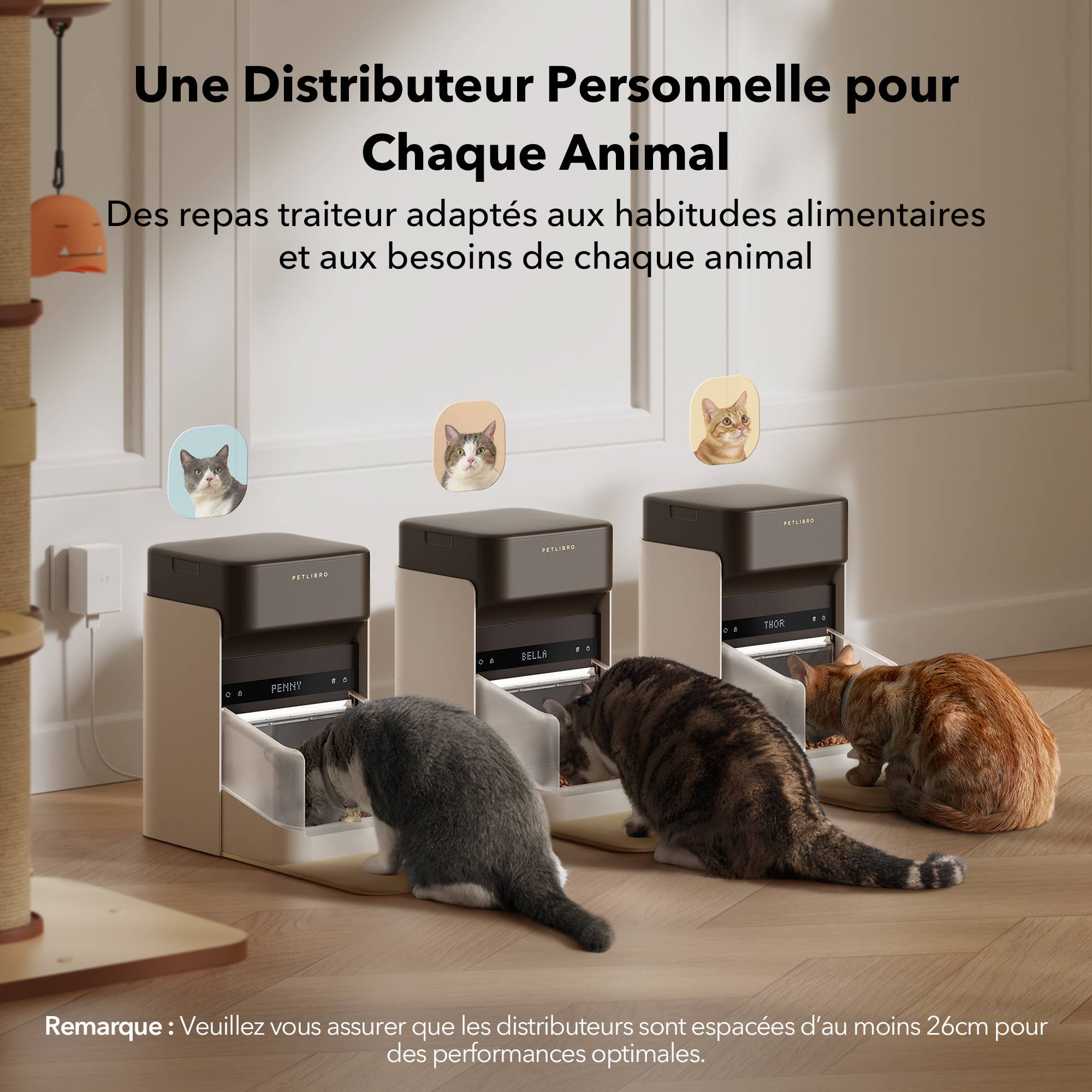 Distributeur automatique de croquettes RFID One pour chat et chien - Petlibro - Image 2