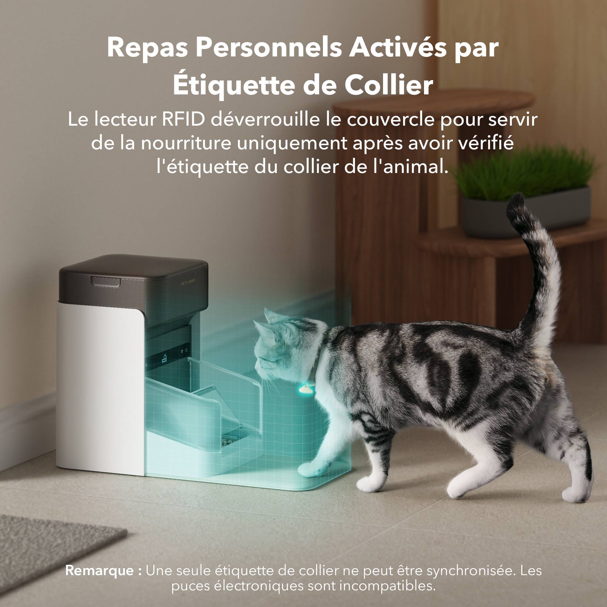 Distributeur automatique de croquettes RFID One pour chat et chien - Petlibro - Image 3