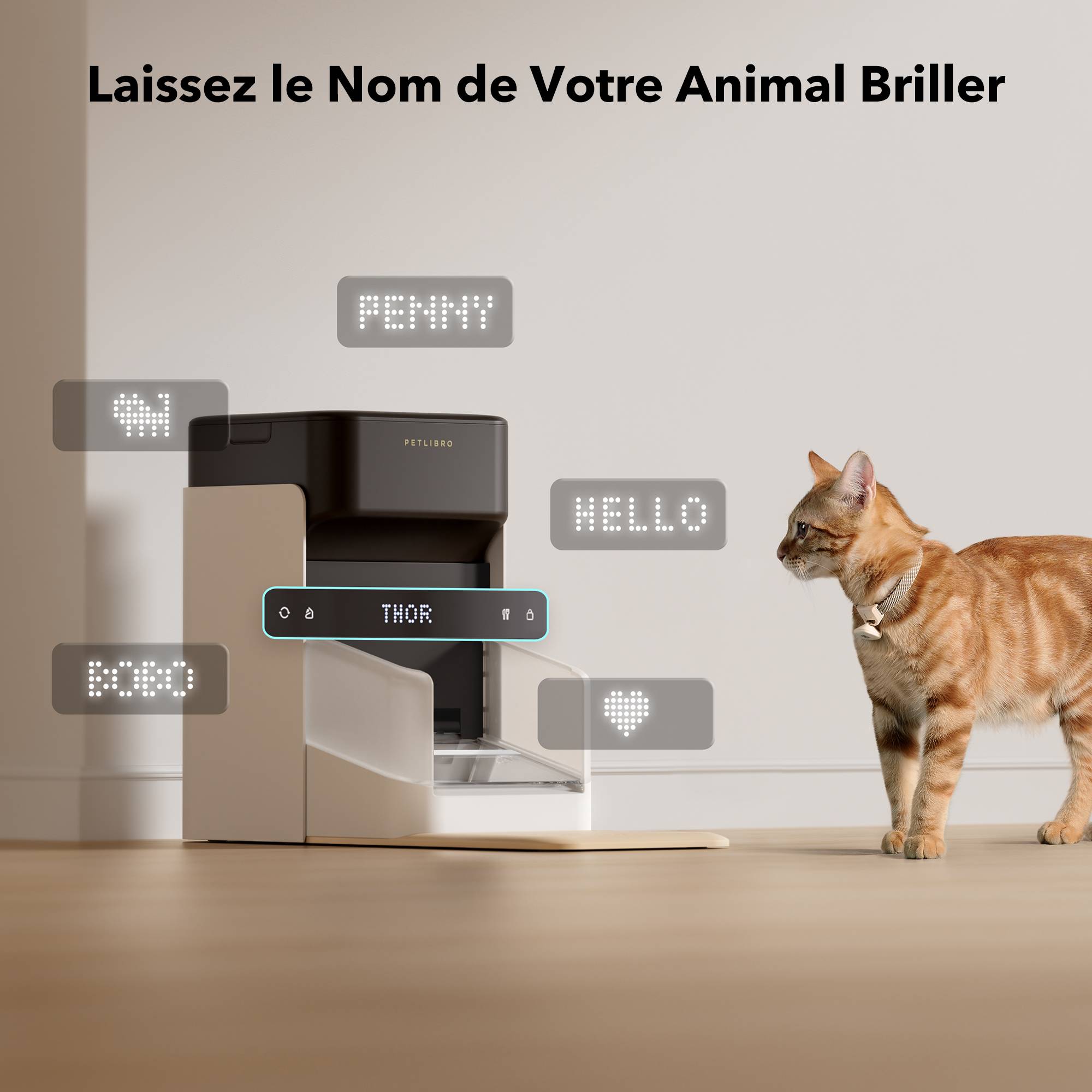 Distributeur automatique de croquettes RFID One pour chat et chien - Petlibro - Image 5