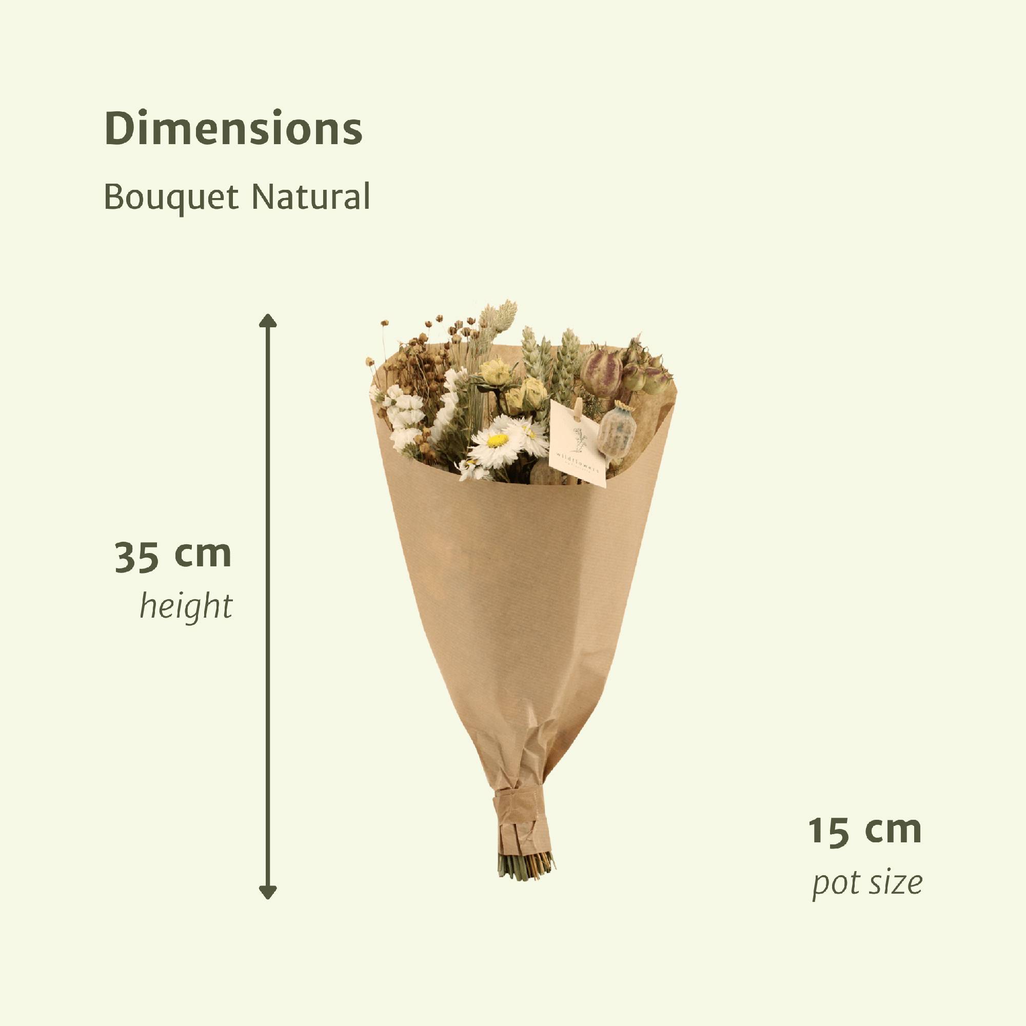 PANGIVO - Bouquet de fleurs séchées végétal naturel 15 x 15 x 35 cm - PANGIVO - Image 4