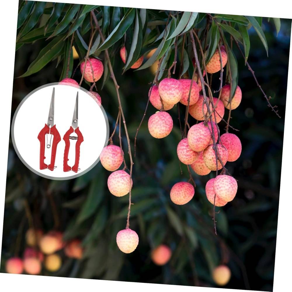 Lot de 2 sécateurs de jardin - Taille branches & fruits - Poignée ergonomique rouge - Living123 - Image 5