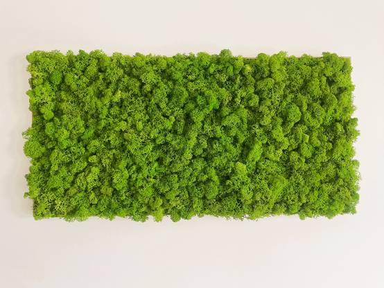 Tableau végétal stabilisé de mousse boule - tableau végétal - décoration d'intérieur - 60*30 cm - Image 1