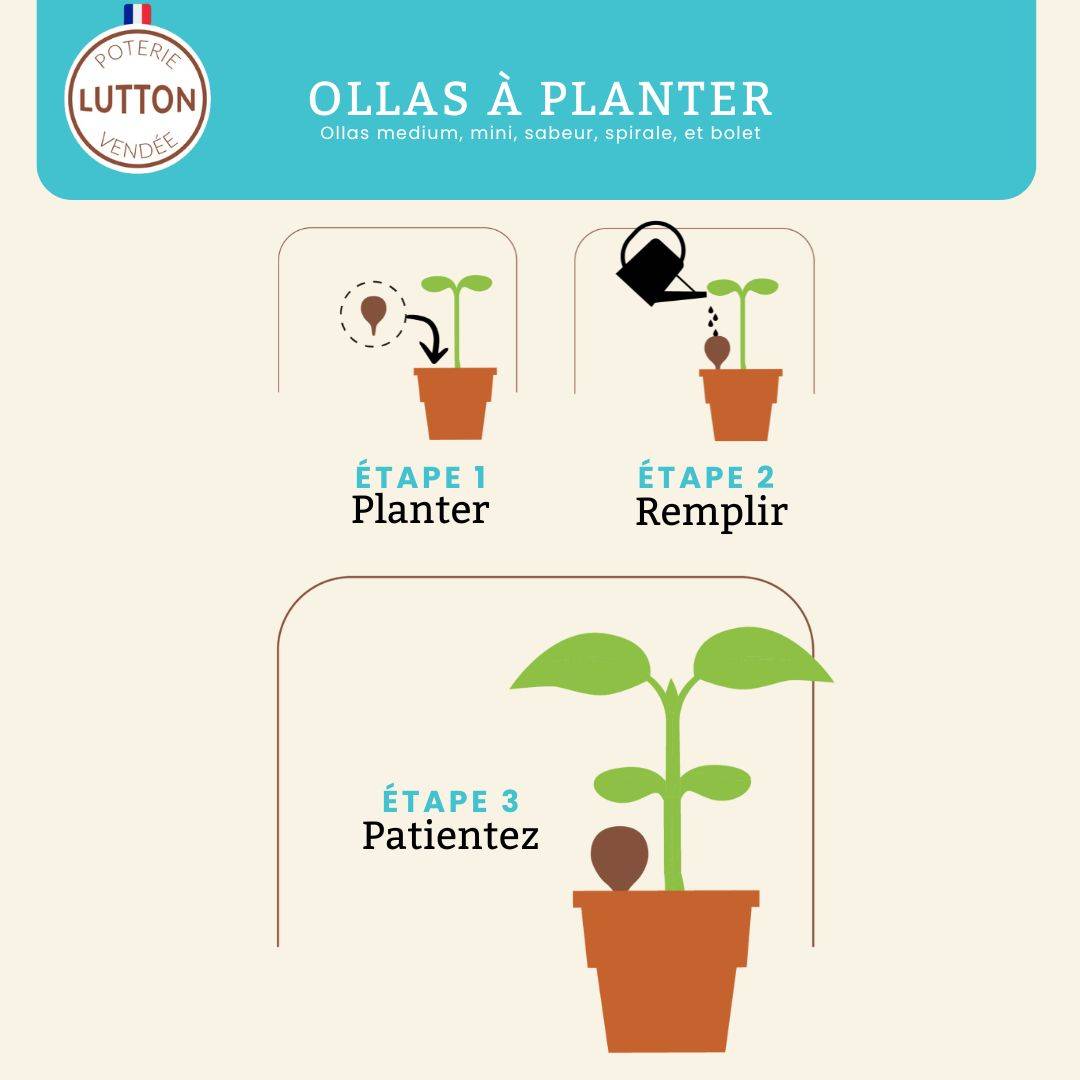Ollas Lutton - Ollas sabeur blanc - Image 3